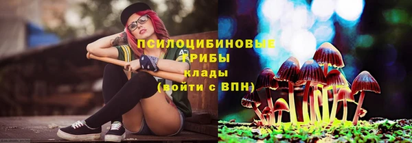 шишки Абинск