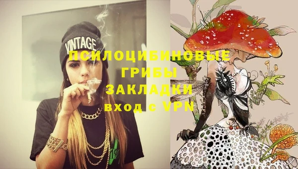 шишки Абинск