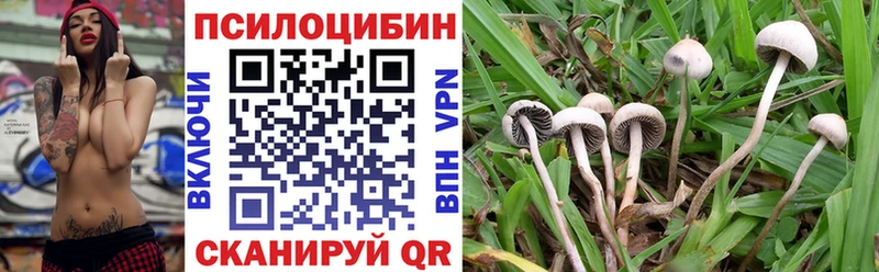 Галлюциногенные грибы Cubensis  купить наркотик  blacksprut вход  Ивантеевка 
